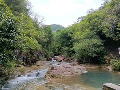 -广州白江湖森林公园