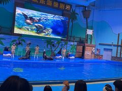 -石家庄极地海洋世界