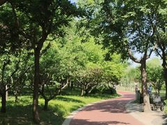-南长河公园