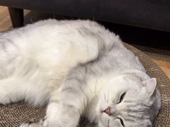 -悠米私人影院(街道口店)