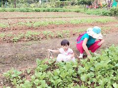 -广悦华阳朔河畔度假酒店(十里画廊遇龙河店)