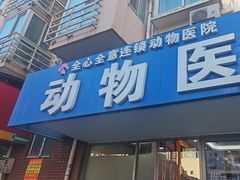 -全心全意连锁动物医院·微创中心·内科急重症·心脏专科(丰管路店)