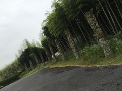 -天下银坑