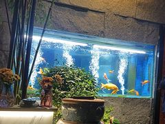 -又见炊烟私房菜(敬亭路店)