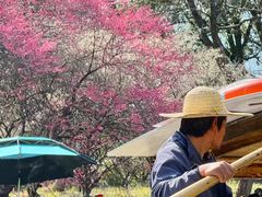 -烟水渔庄餐厅(西溪湿地店)