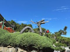 -海东龙宫寺