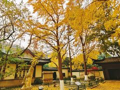 -郑和公园