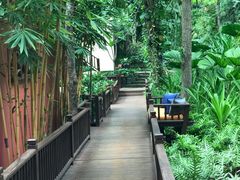 -四季酒店下午茶