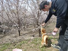 -长白岛森林公园