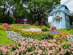 -铁山坪森林公园