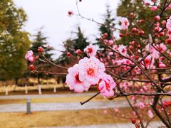 -白塘生态植物园