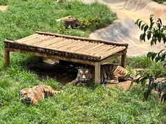 -昆明动物园