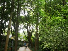 -上海醉白池公园