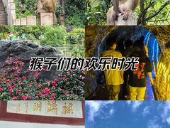 -黔灵山公园