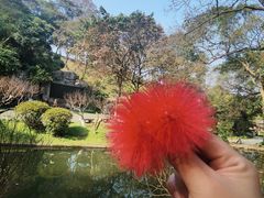 -广州市白云山风景名胜区