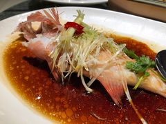 东星斑-金悦轩海鲜酒家(银河店)