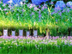 -共青国家森林公园-售票处