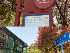 -铁山坪森林公园