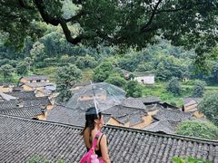 -杨家堂村