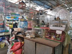 -万商花鸟市场
