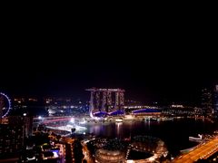 -新加坡瑞士史丹福酒店