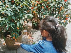 -蓝天路(地铁站)