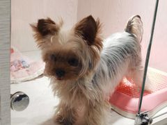 -乐宠宠物店(世纪金源店)