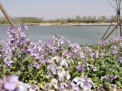 -东郊湿地公园