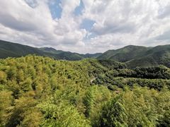 -宁波浙东大竹海景区