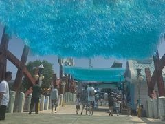 -大连海昌发现王国主题公园