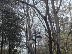 -塔子山公园