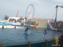 -秦皇岛乐岛海洋王国