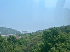 -普陀山风景区-佛顶山