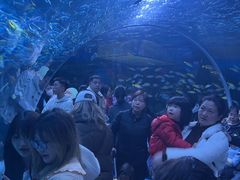 -海合安成都极地海洋公园