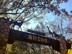 -北京市海淀外国语实验学校