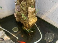 大堂-后海16号·北京私房菜