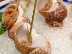 爱尔兰冰螺-上井料理黑金店(IFS国金中心店)