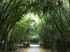 -包公祠