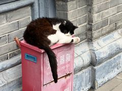 -平安桥天主教堂