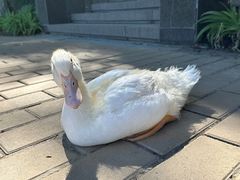 -中国农业博物馆