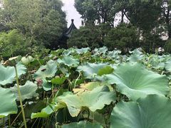 -龚家花园农家乐休闲别墅
