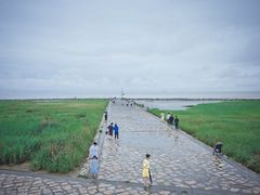 -南汇嘴观海公园