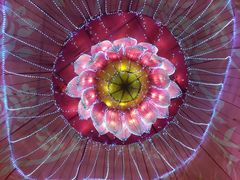 -秦淮小吃城(夫子庙店)