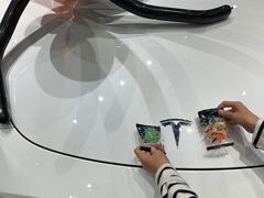 -TESLA 特斯拉(北京颐堤港体验店)