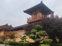 -习家池