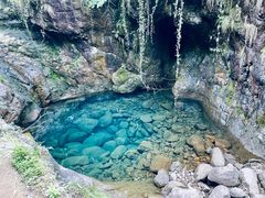 -大奇山国家森林公园