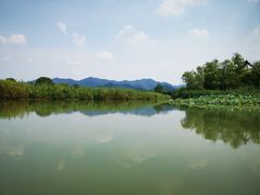 -西溪国家湿地公园