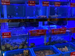 -小龍鳳·港式海鲜打边炉(沙湖路店)