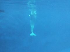 -福州罗源湾海洋世界旅游区