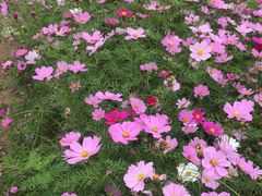 -安源路矿工人运动纪念馆